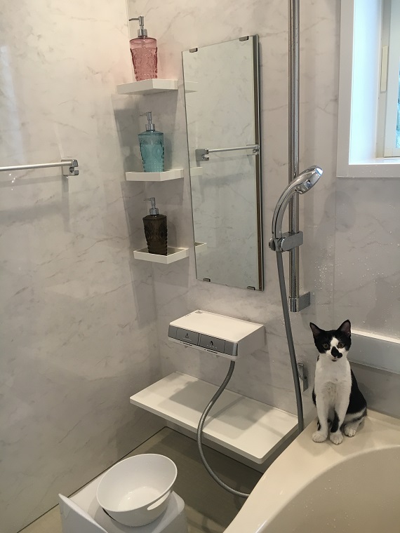 バスルームにいる猫